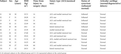 Construction and analysis of a lncRNA–miRNA–mRNA competing endogenous RNA network from inflamed and normal synovial tissues after anterior cruciate ligament and/or meniscus injuries